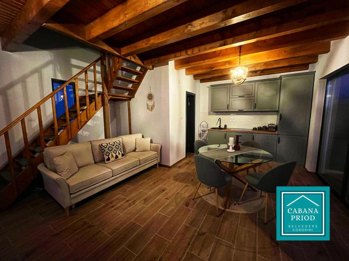 Cabana Priod Coronini Pescari Ngoại thất bức ảnh