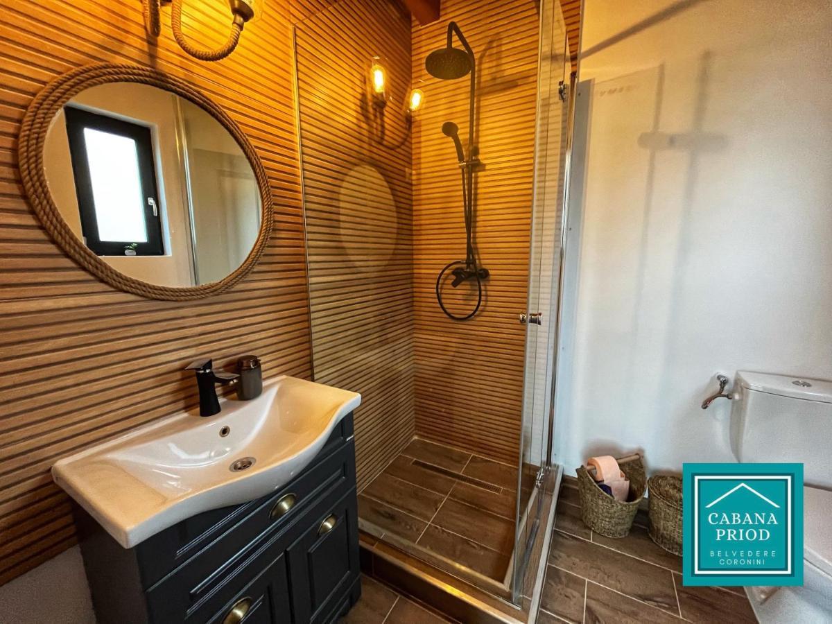 Cabana Priod Coronini Pescari Ngoại thất bức ảnh