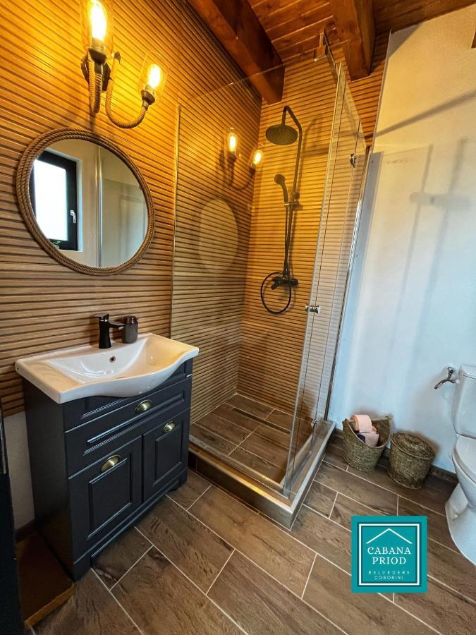 Cabana Priod Coronini Pescari Ngoại thất bức ảnh