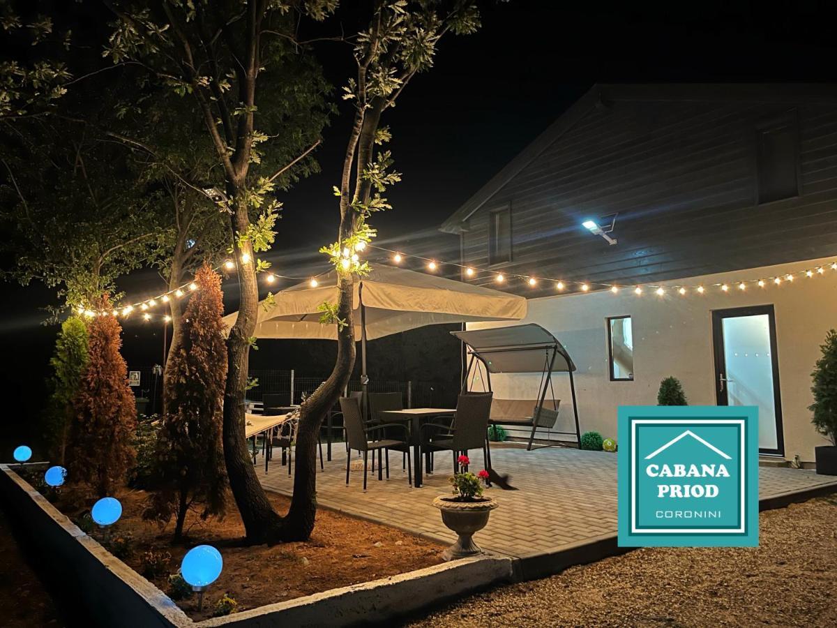 Cabana Priod Coronini Pescari Ngoại thất bức ảnh