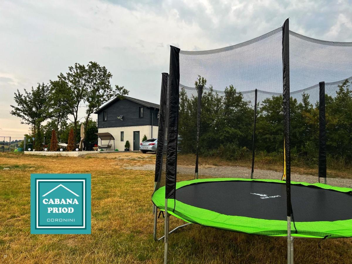 Cabana Priod Coronini Pescari Ngoại thất bức ảnh